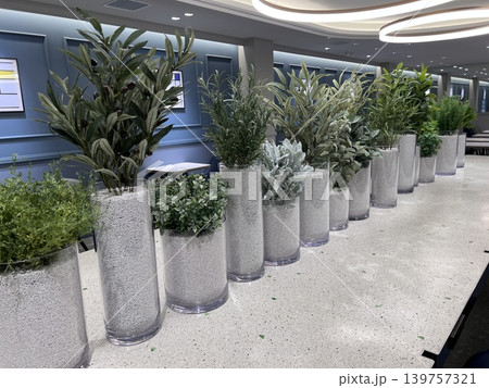 モダンなカフェ空間を彩る観葉植物と洗練されたインテリアデザイン モダンなカフェ空間を彩る観葉植物と洗練されたインテリアデザイン 139757321