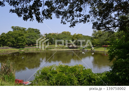 西城沼公園 西城沼公園 139758002