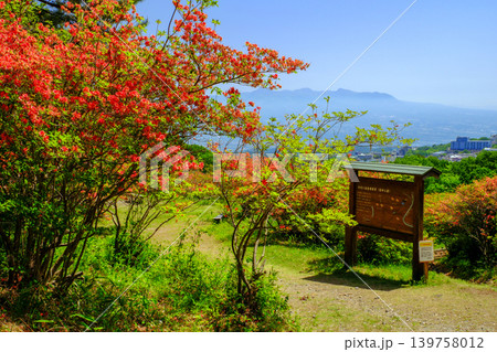 つつじ咲く長峰公園から赤城山の風景 つつじ咲く長峰公園から赤城山の風景 139758012