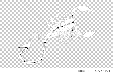 さそり座のモノクロームイラスト（サソリの絵と星座線） 139758404