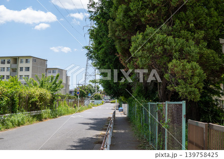 道路沿いに生い茂る木 道路沿いに生い茂る木 139758425