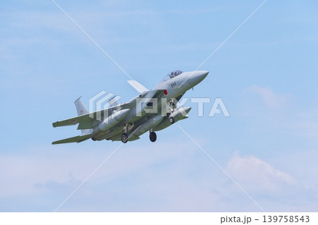 着陸態勢の第201飛行隊のF-15J 139758543