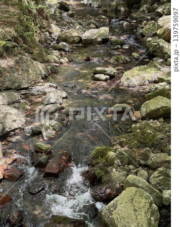 苔むす岩を流れる箕面川の清流 139759097