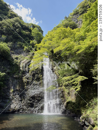 青空と新緑を背景にした箕面大滝の全景 青空と新緑を背景にした箕面大滝の全景 139759106