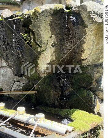 苔むす岩から湧く手水、和の清めの場 苔むす岩から湧く手水、和の清めの場 139759146