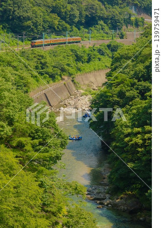 新緑の中を走る115系湘南色 139759471
