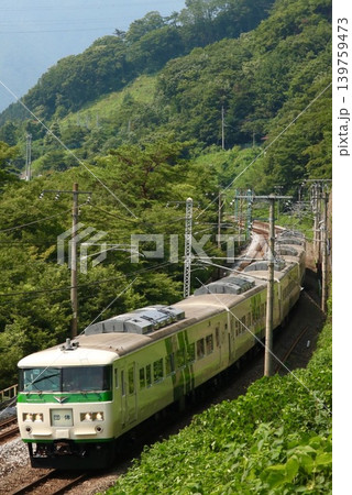 新緑と185系 139759473