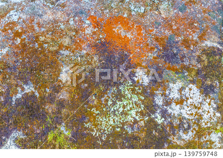 Stone rock texture with green moss and lichen in Brazil. Stone rock texture with green moss and lichen in Brazil. 139759748