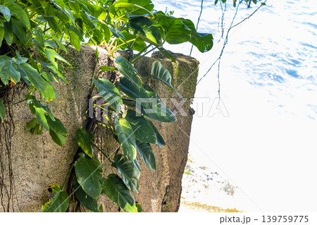 Tropical Urca Red Beach Rocks Water Rio de Janeiro Brazil. Tropical Urca Red Beach Rocks Water Rio de Janeiro Brazil. 139759775