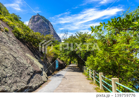 Walking path trail rainforest mountains in Rio de Janeiro Brazil. Walking path trail rainforest mountains in Rio de Janeiro Brazil. 139759776