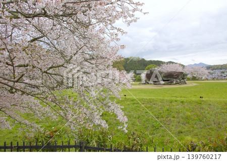 石舞台古墳の桜 石舞台古墳の桜 139760217