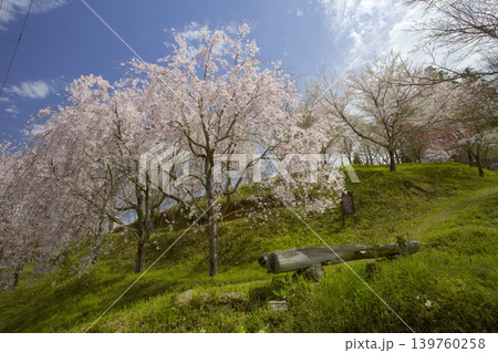 藍丸山城跡の桜 139760258