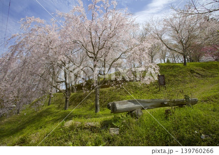 藍丸山城跡の桜 139760266
