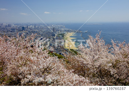 須磨浦山上遊園の展望台より桜越しに須磨海岸、神戸の街並みを眺望 139760287