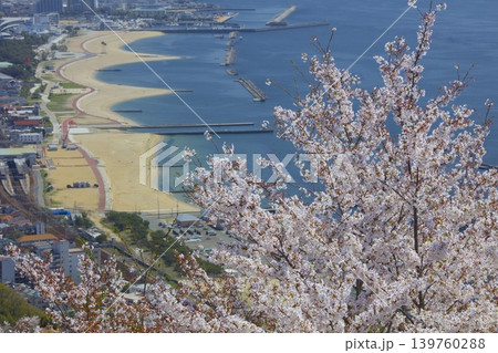 須磨浦山上遊園の展望台より桜越しに須磨海岸、神戸の街並みを眺望 須磨浦山上遊園の展望台より桜越しに須磨海岸、神戸の街並みを眺望 139760288