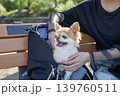 犬をバッグに入れて旅行 139760511