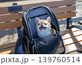 犬をバッグに入れて旅行 139760514