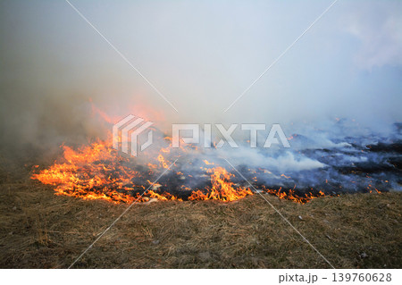 Wild fire spreading through the field of grass very fast burning everything on its way and lefts much smoke 139760628