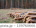 Woodpile of trees cut and stacked near the forest. Logging in the pine forest 139760666