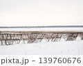 Protection barrier from snow blizzard in the field in winter.  139760676