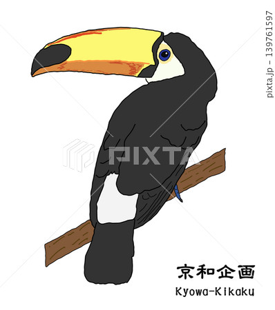 オニオオハシ オニオオハシ 139761597