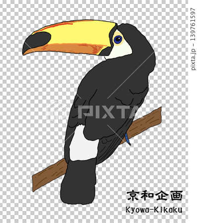 オニオオハシ オニオオハシ 139761597