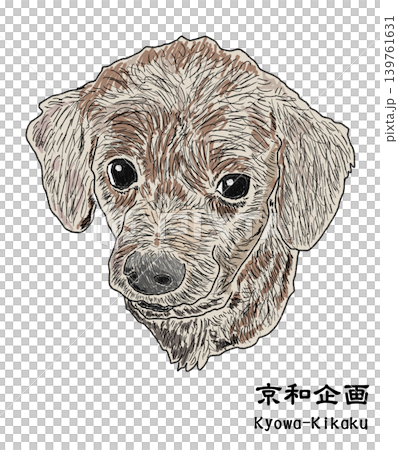 わんちゃん わんちゃん 139761631