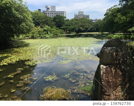 栗林公園の池 栗林公園の池 139762730