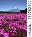 山梨県富士芝まつり会場　花目線から見た綺麗な富士山の景色 139762800