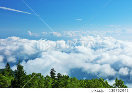 長野県　美ヶ原高原からの青空と雲海風景 139762941