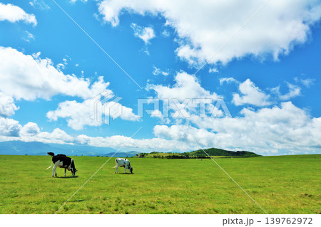 長野県 美ヶ原高原 青空の牧場風景 長野県 美ヶ原高原 青空の牧場風景 139762972