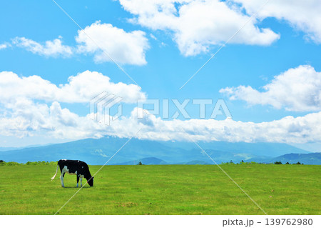長野県 美ヶ原高原 青空の牧場風景 長野県 美ヶ原高原 青空の牧場風景 139762980