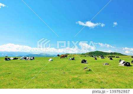 長野県　美ヶ原高原　青空の牧場風景 139762987