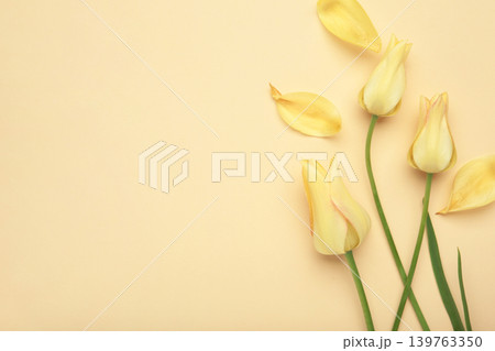 Yellow tulips on a beige background. Space for text Yellow tulips on a beige background. Space for text 139763350