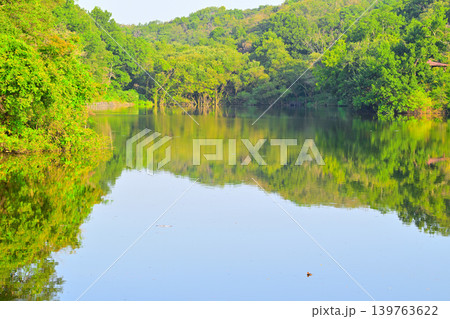 八丁湖 埼玉県吉見町 八丁湖 埼玉県吉見町 139763622