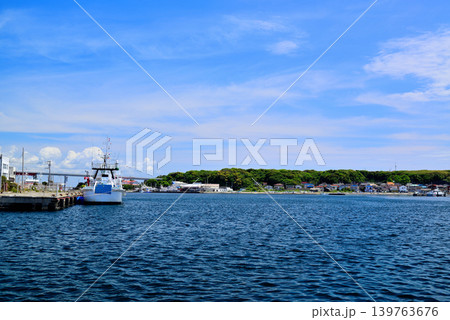 日本有数のマグロ基地　三浦市三崎漁港 139763676