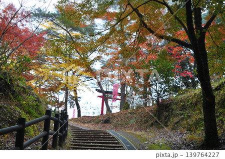 秋の曽木の滝 秋の曽木の滝 139764227