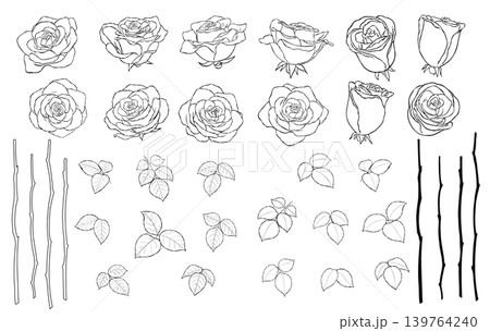 手描きのバラの花の線画イラスト素材セット 手描きのバラの花の線画イラスト素材セット 139764240