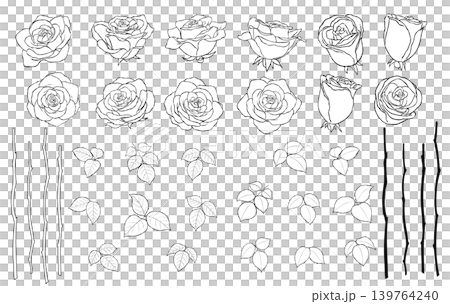 手描きのバラの花の線画イラスト素材セット 手描きのバラの花の線画イラスト素材セット 139764240