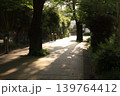 木漏れ日が差し込む木陰の道　 139764412