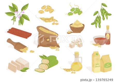Soy products mega set elements in flat cartoon graphic design. Bundle objects of flower plant, beans, sauce, vegan milk, flour, meat with protein substitute, tofu cheese, other. Vector illustration. 139765249