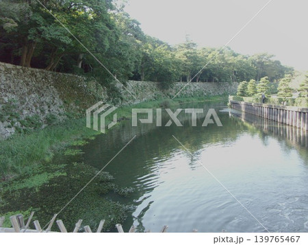 滋賀県彦根市の彦根城は立派で端正な姿を見せてくれます。 139765467