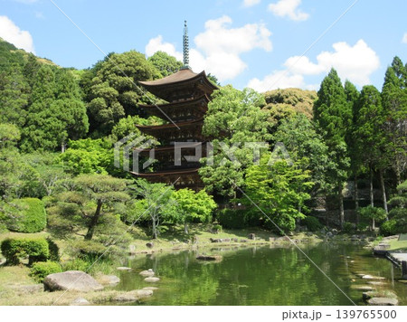山口県山口市!瑠璃光寺の池と五重塔(国宝) 山口県山口市!瑠璃光寺の池と五重塔(国宝) 139765500