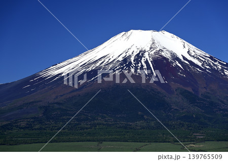 5月、山中湖畔の風景 (撮影地：山中湖親水公園付近) 139765509