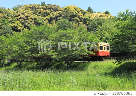 小湊鐵道「初夏の緑に包まれたローカル列車」飯給駅 小湊鐵道「初夏の緑に包まれたローカル列車」飯給駅 139766363