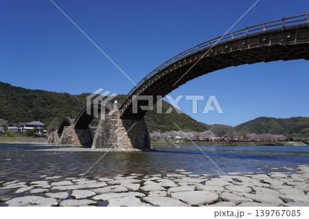 春の岩国、桜シーズンの錦帯橋 春の岩国、桜シーズンの錦帯橋 139767085
