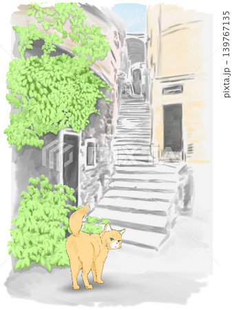 イラスト 路地裏のネコ イラスト 路地裏のネコ 139767135