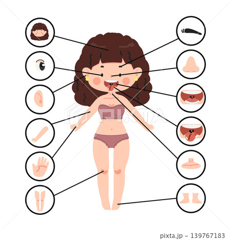 Illustration Of Human Body Parts For Education Illustration Of Human Body Parts For Education 139767183