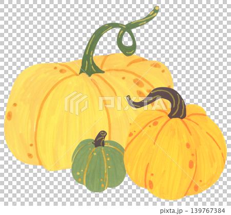 Pumpkin hand drawn illustration, cute autumn thanksgiving harvest collection with squash gourd leaves, cozy farm decor, organic seasonal vegetable card graphic design Pumpkin hand drawn illustration, cute autumn thanksgiving harvest collection with squash gourd leaves, cozy farm decor, organic seasonal vegetable card graphic design 139767384