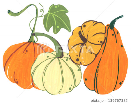 Pumpkin hand drawn illustration, cute autumn thanksgiving harvest collection with squash gourd leaves, cozy farm decor, organic seasonal vegetable card graphic design Pumpkin hand drawn illustration, cute autumn thanksgiving harvest collection with squash gourd leaves, cozy farm decor, organic seasonal vegetable card graphic design 139767385